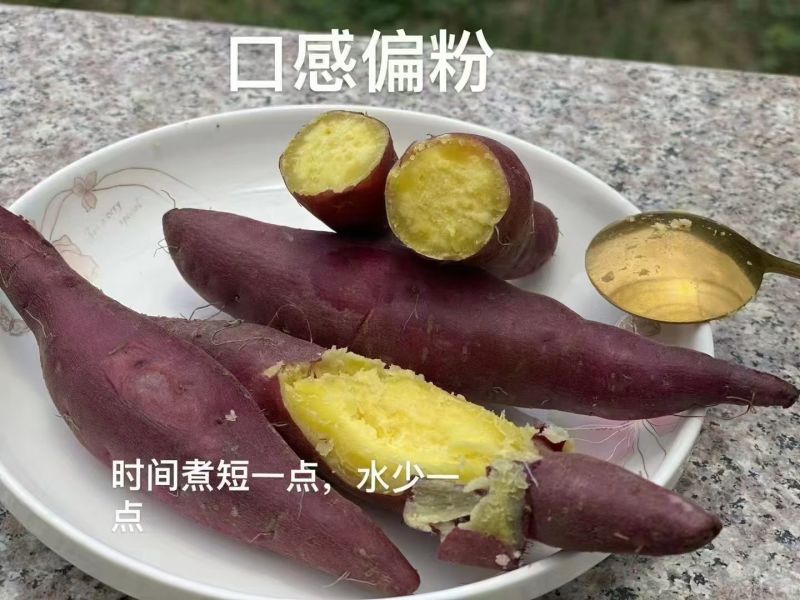 临安本地天目小香薯皮薄软糯香甜品质口感在线一件代发
