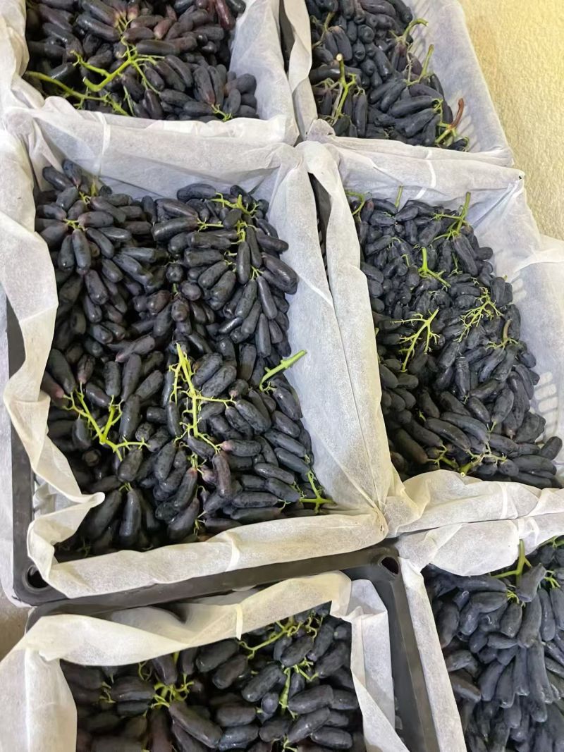 蓝宝石精品货&高次果，