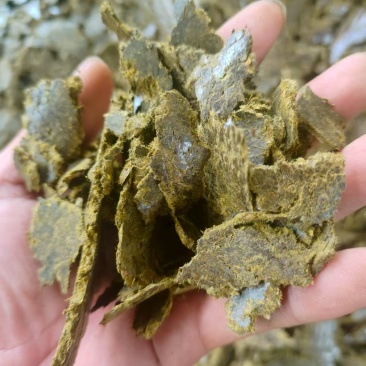 棉籽饼，适合各种瓜果蔬菜大棚种植底肥，高温压榨，营养丰富