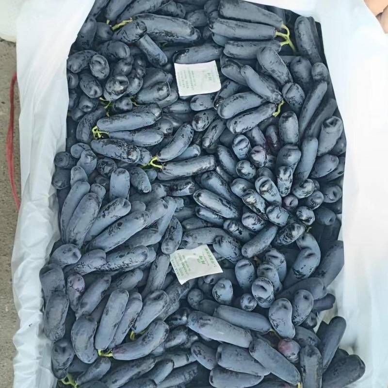 蓝宝石精品货&高次果，