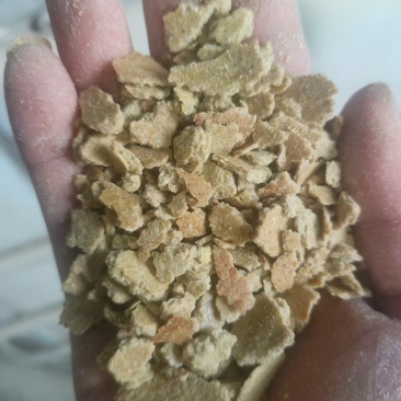 豆饼