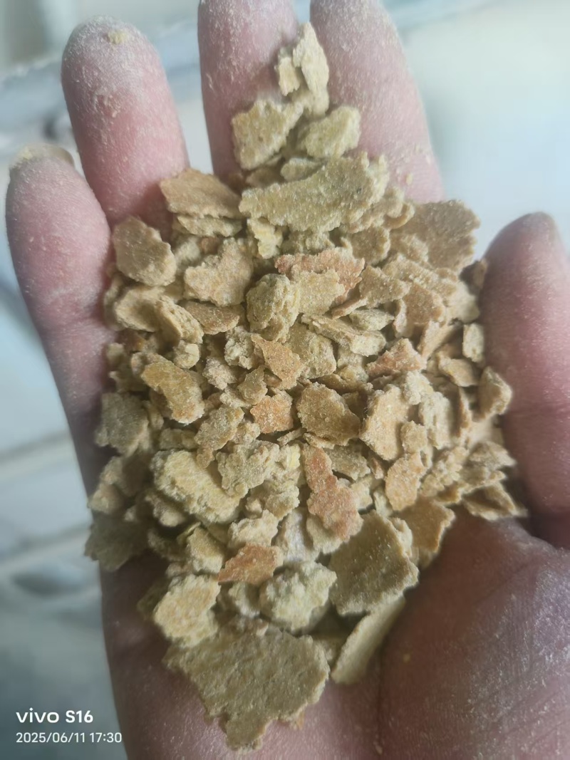 豆饼