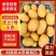 陕北精品土豆沃土5号土豆货源充足产地供应欢迎咨询