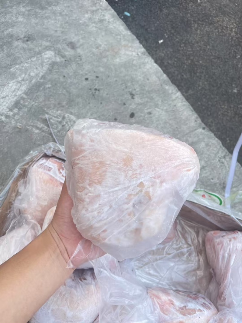 肥猪后肘10个