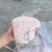 肥猪后肘10个