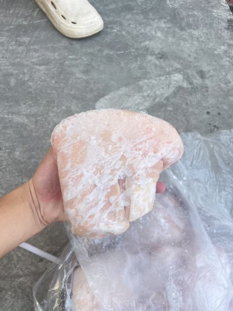 肥猪后肘10个