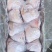 肥猪后肘10个