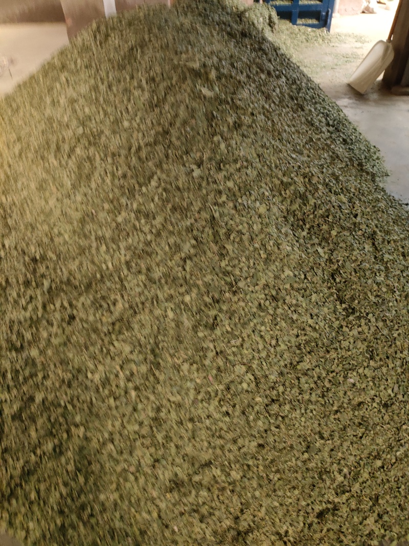 桑叶(干货)欢迎各位老板提前预定下单，互利共赢，诚信经营