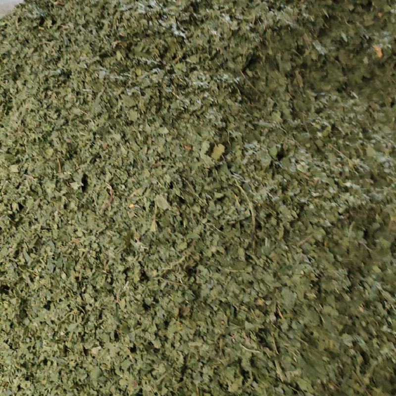 桑叶(干货)欢迎各位老板提前预定下单，互利共赢，诚信经营