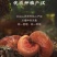 张庆康灵芝孢子粉源头直供全年有货/品质保证量大优惠