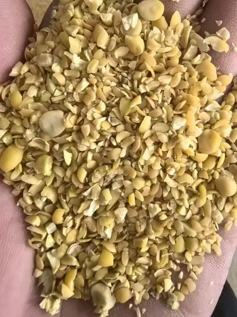 碎黄豆，养殖育肥，挤油压饼，农作物种植底肥