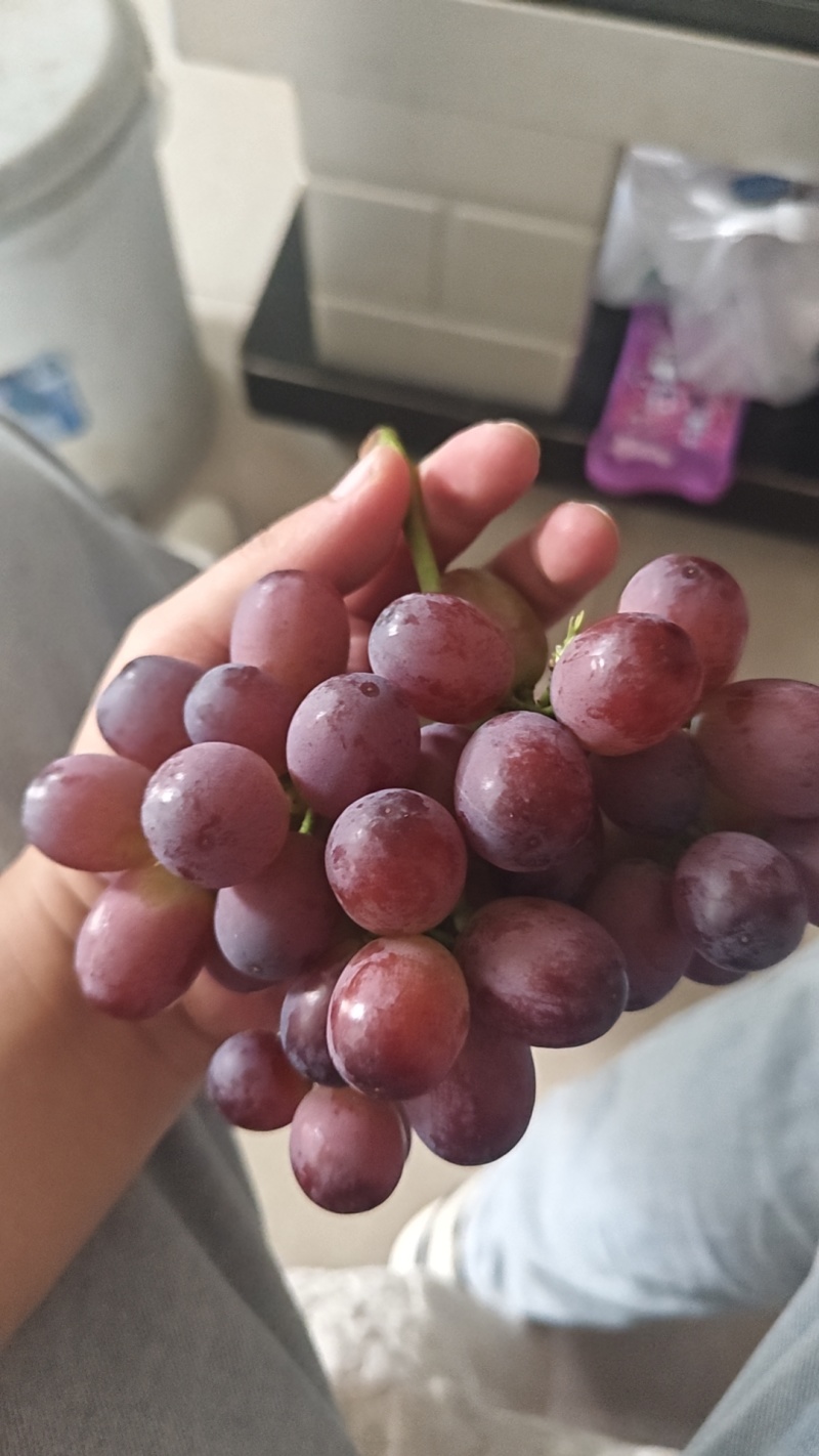 云南昆明禄脿克瑞森葡萄红提