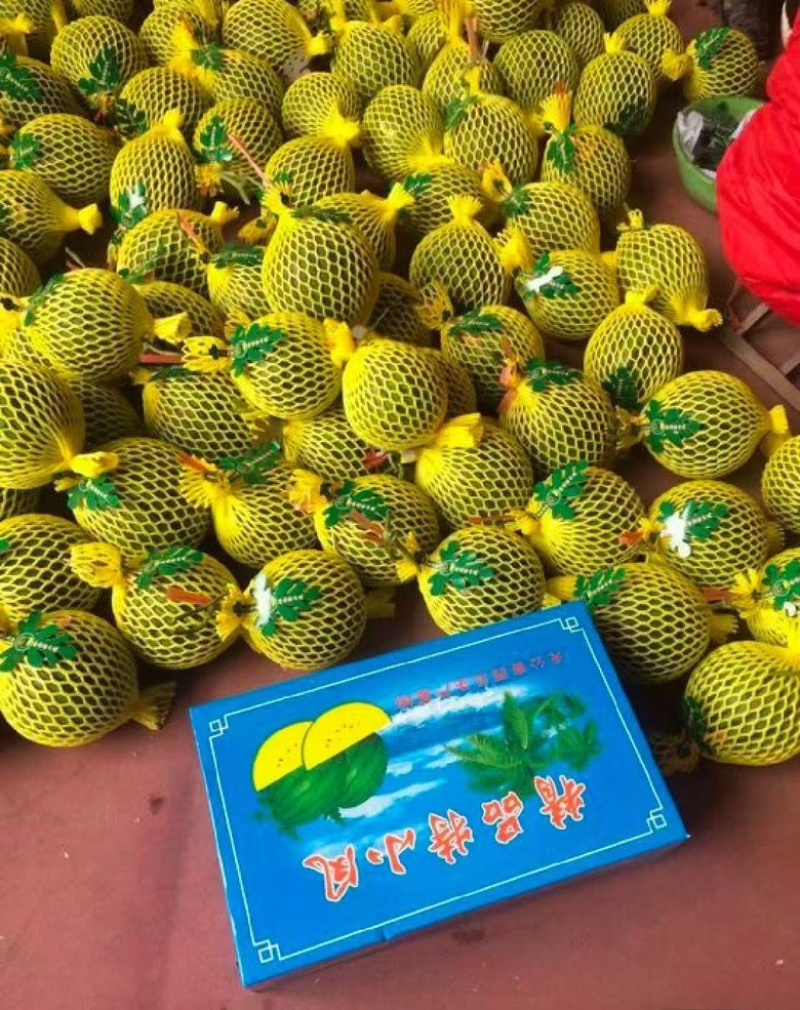 山东特小凤西瓜小凤西瓜，黄阳西瓜。货源充足，