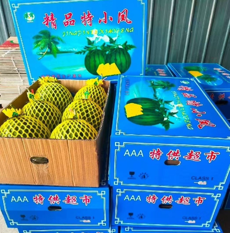 山东特小凤西瓜小凤西瓜，黄阳西瓜。货源充足，