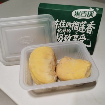 精品金枕榴莲冻肉厂家直发品质保证对接电商团购欢迎联系