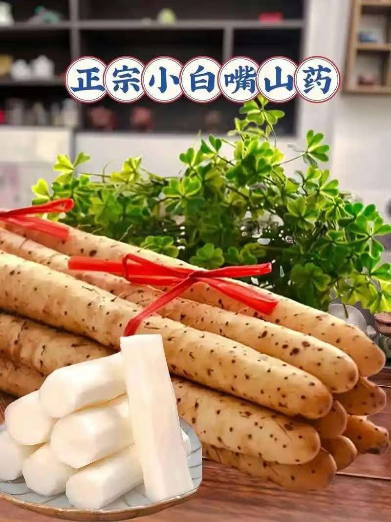 河北正宗小白嘴山药，大量现货品质保证可发店商，全国供应