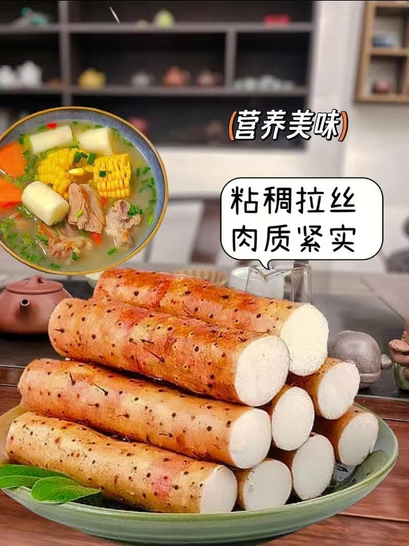 河北正宗小白嘴山药，大量现货品质保证可发店商，全国供应