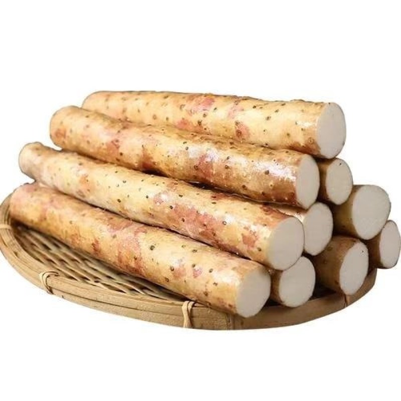 河北正宗小白嘴山药，大量现货品质保证可发店商，全国供应