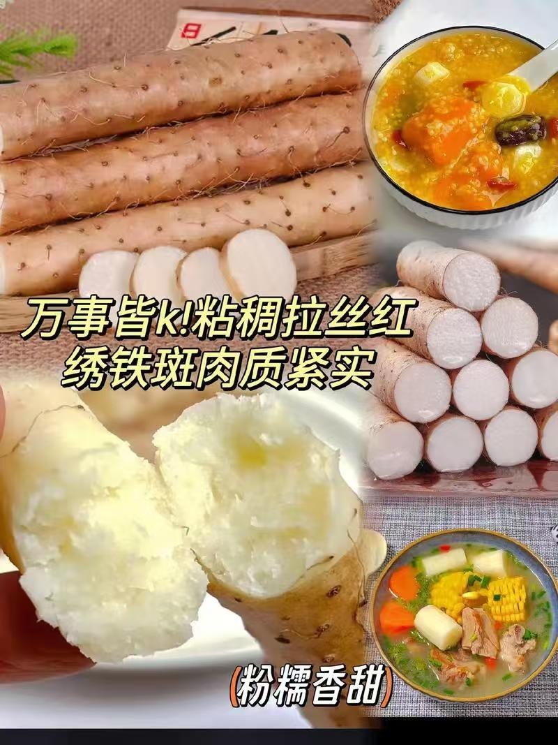 河北正宗小白嘴山药，大量现货品质保证可发店商，全国供应