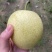 自家头茬皇冠
