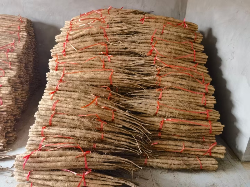温县铁棍山药