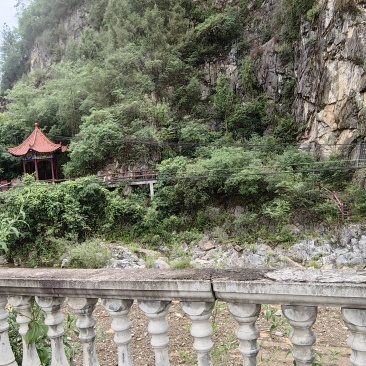 温县铁棍山药
