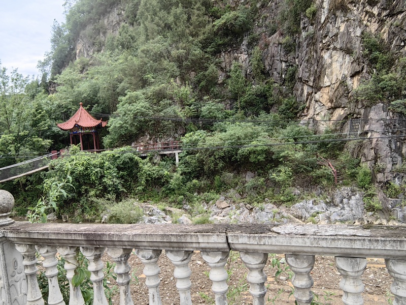 温县铁棍山药