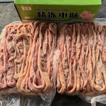 熟小肠