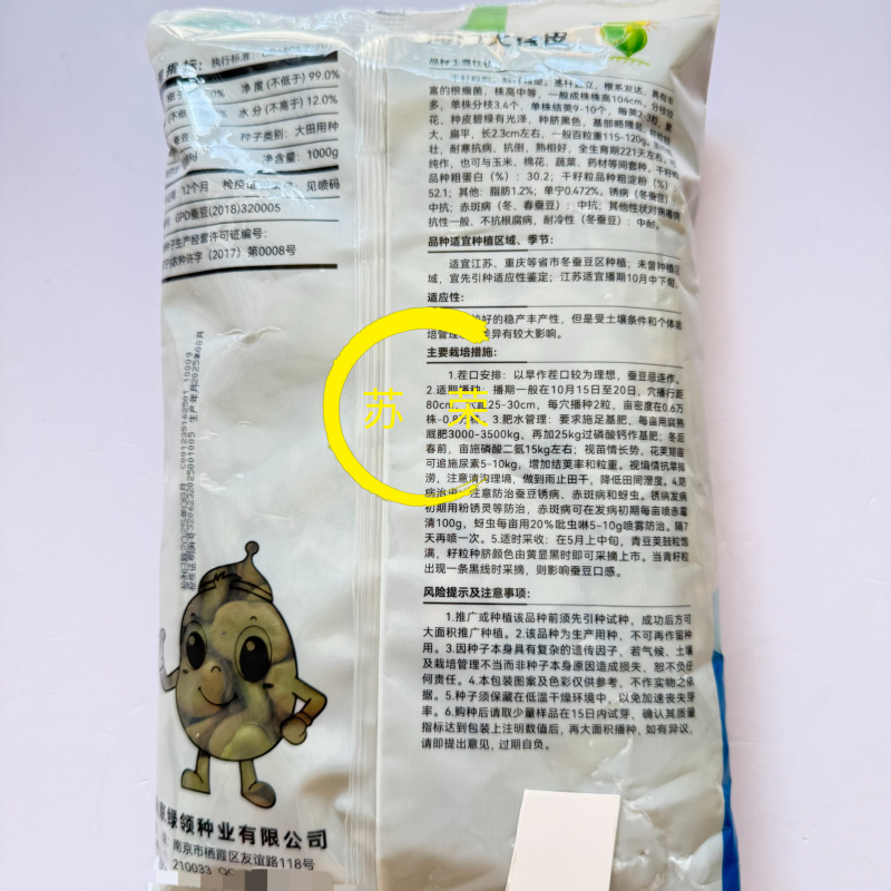 绿领海门大青皮蚕豆种子蔬菜优质高产耐寒抗病商品性佳