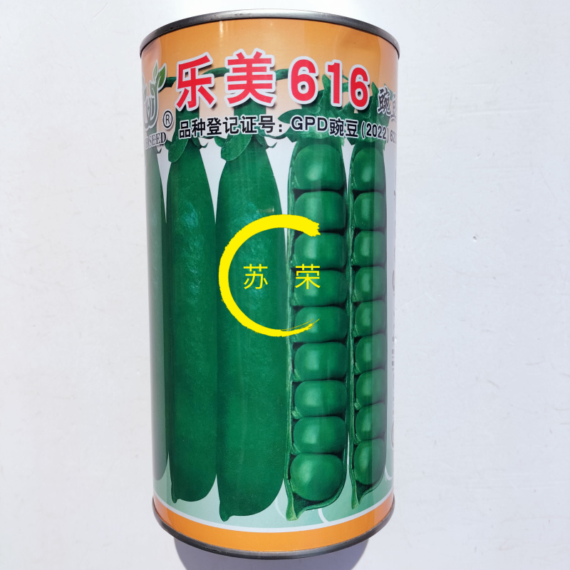 台湾长寿仁豌豆种子青豌豆荷兰豆抗白粉病优质春秋四季播蔬菜