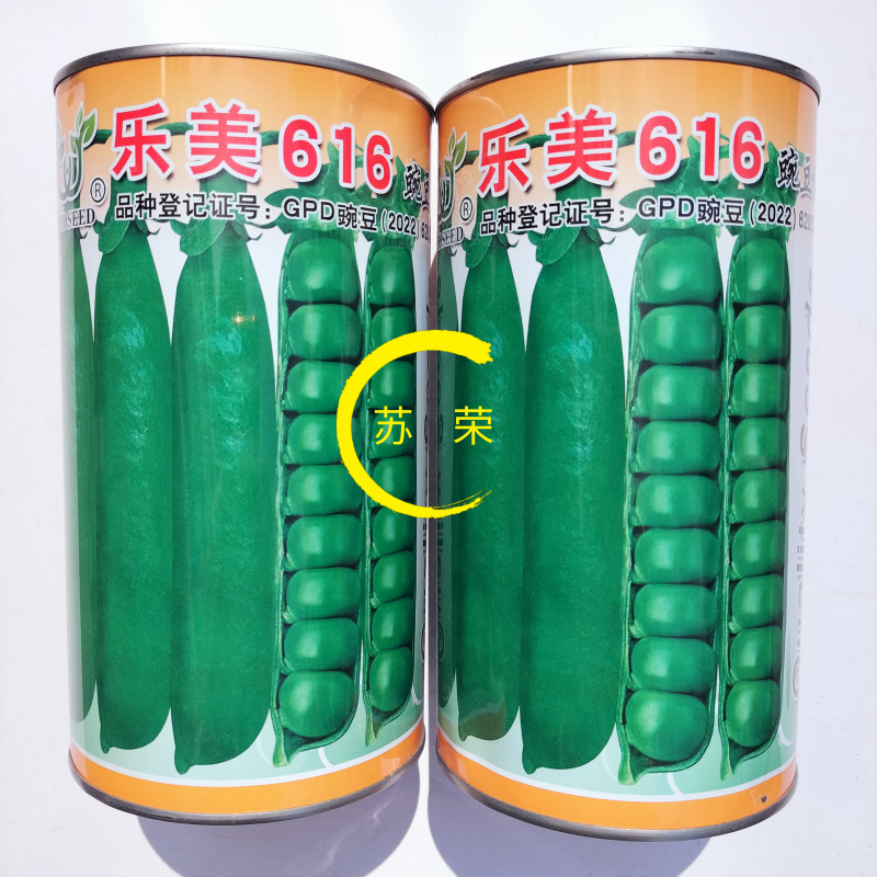 台湾长寿仁豌豆种子青豌豆荷兰豆抗白粉病优质春秋四季播蔬菜