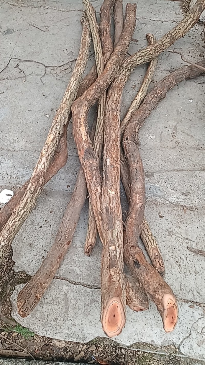 海风藤纯野生无硫自然晒干无杂质批发及零售均可