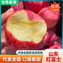 精选红富士苹果脆甜糖心对接市场商超电商全年供应
