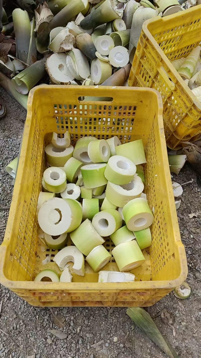 清水脆笋片