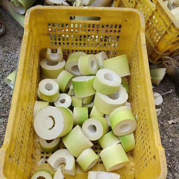 清水脆笋片