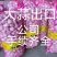 大蒜出口《公司资质齐全》各种规格加工一条龙服务