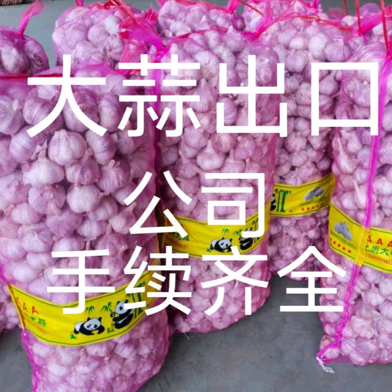 大蒜出口《公司资质齐全》各种规格加工一条龙服务