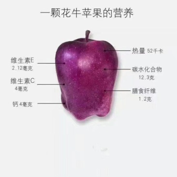 甘肃天水花牛