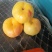 风味天后油蟠桃
