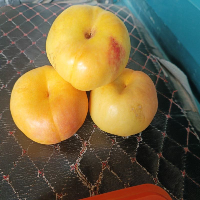风味天后油蟠桃