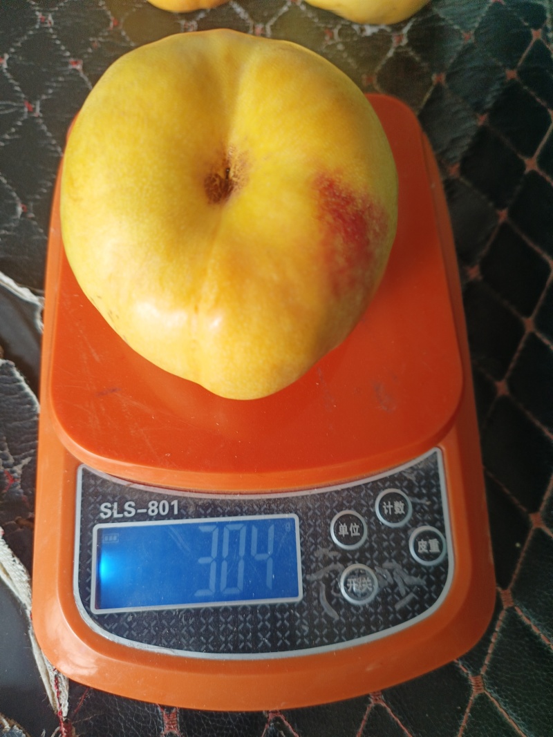 风味天后油蟠桃