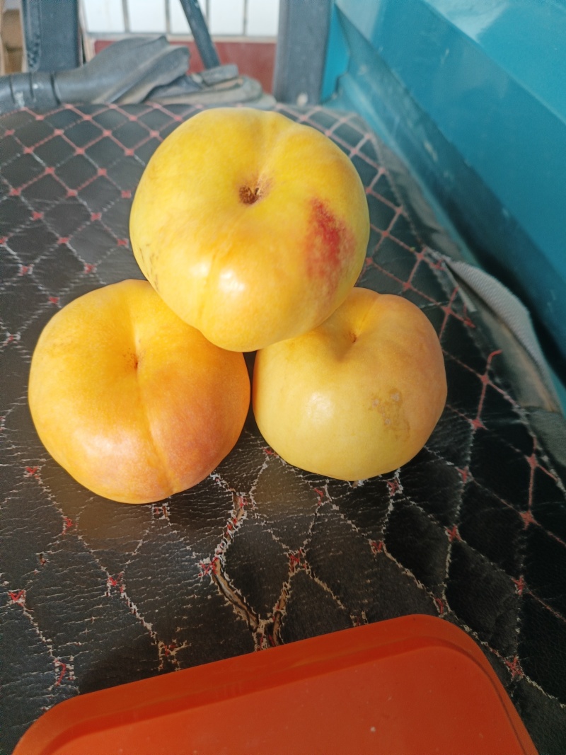 风味天后油蟠桃