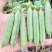 绿帅909豌豆仁基地专用豌豆种子白花绿色豆仁大粒鼓型