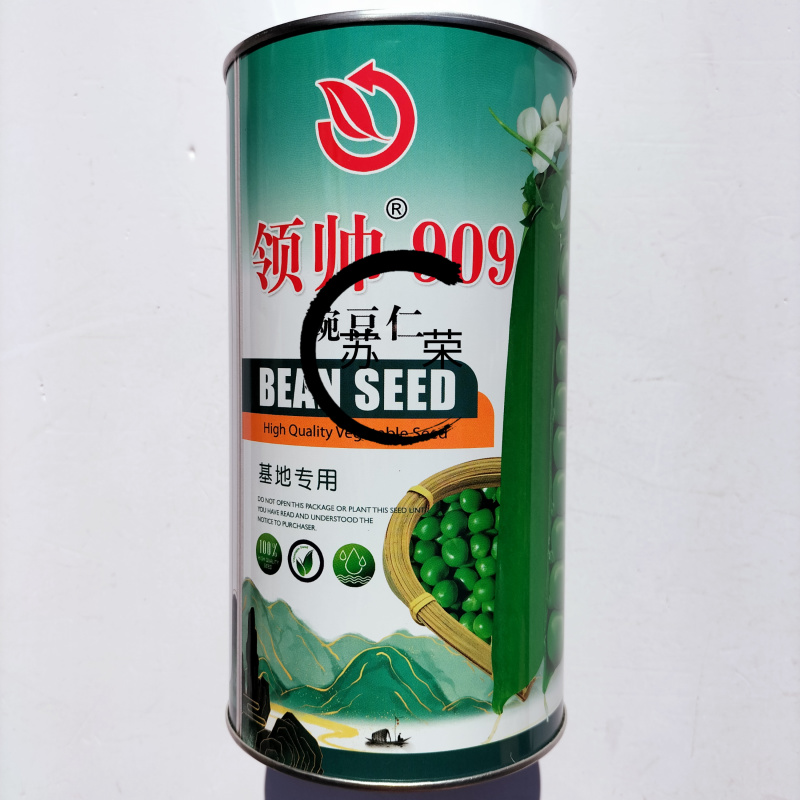 绿帅909豌豆仁基地专用豌豆种子白花绿色豆仁大粒鼓型