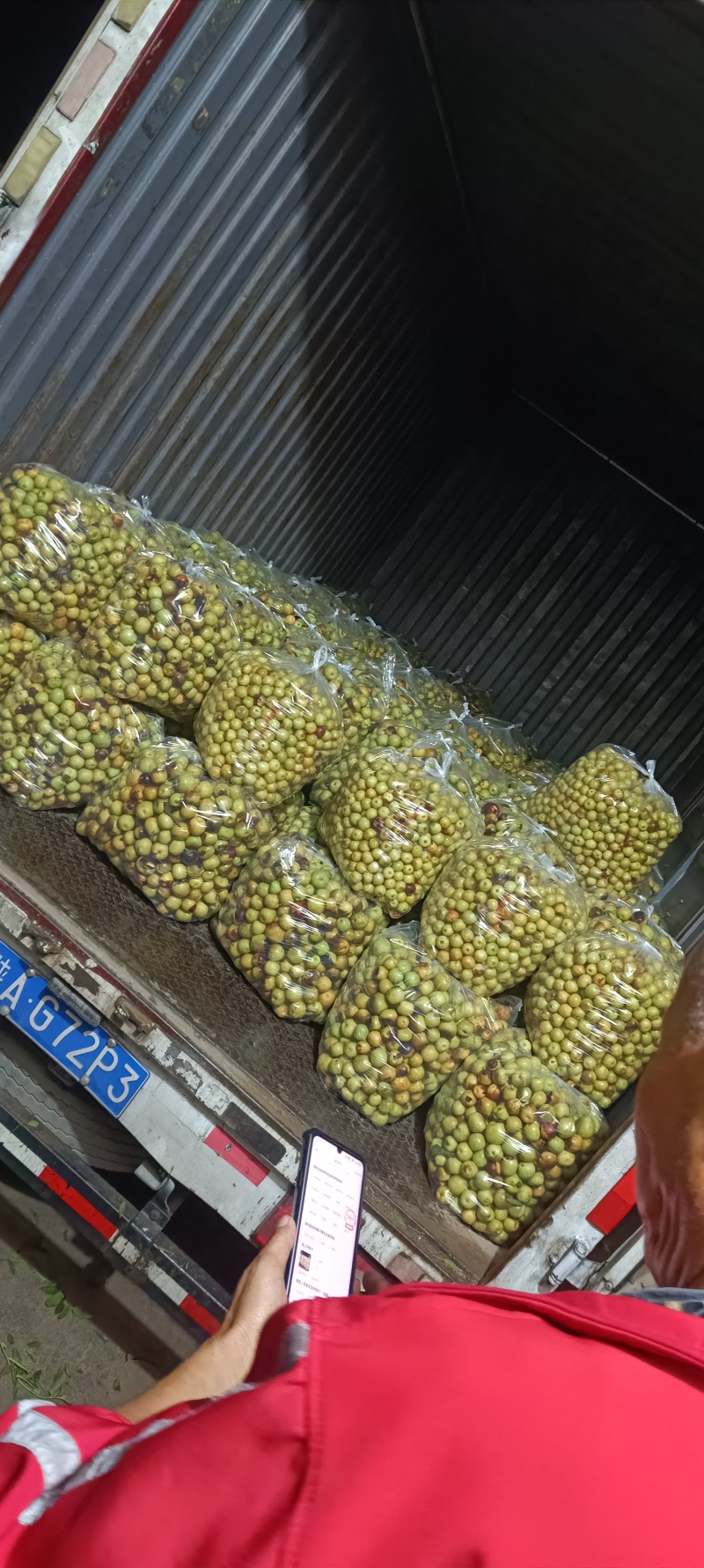 大荔脆甜冬枣