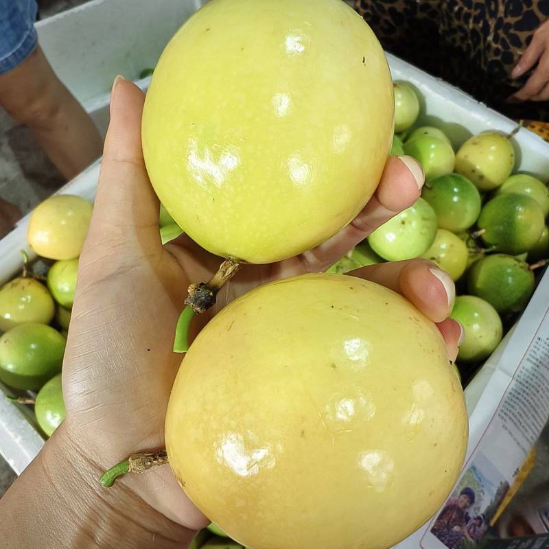钦蜜9号百香果，电商，市场，各大仓，大量有货，价格实惠