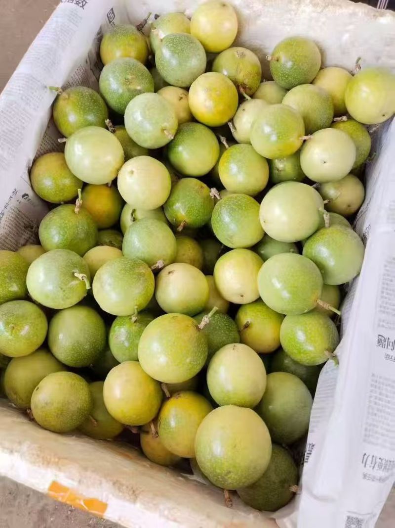 钦蜜9号百香果，电商，市场，各大仓，大量有货，价格实惠