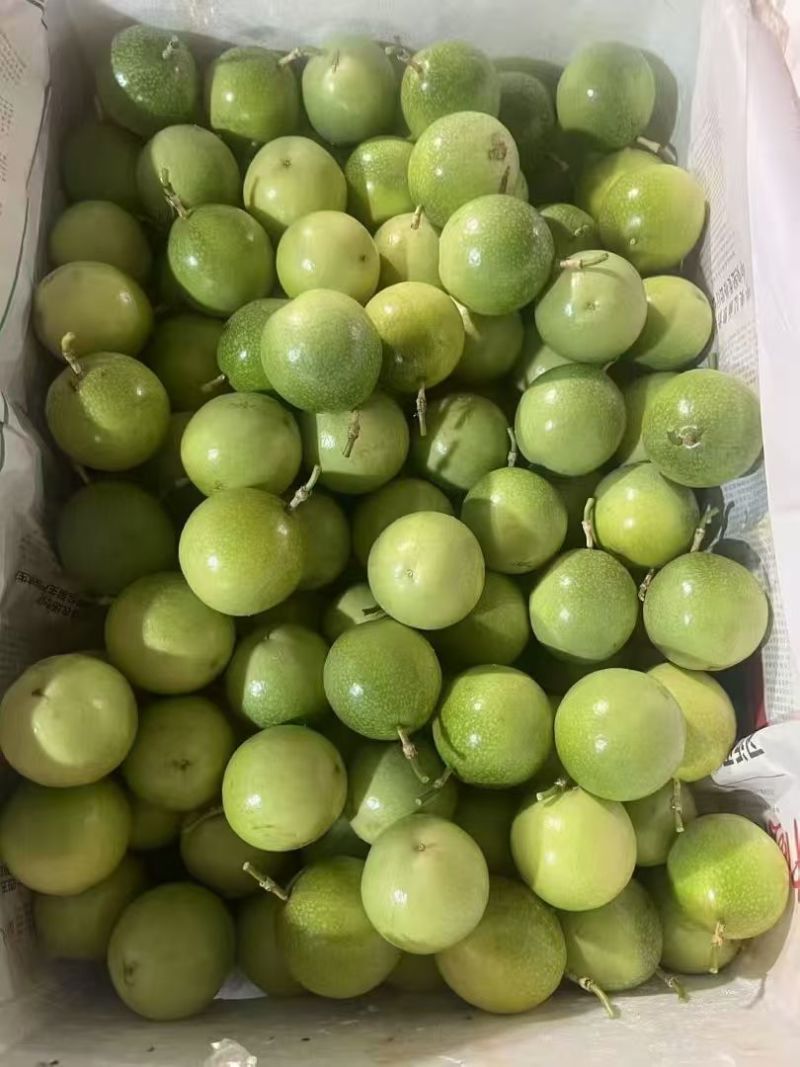 钦蜜9号百香果，电商，市场，各大仓，大量有货，价格实惠