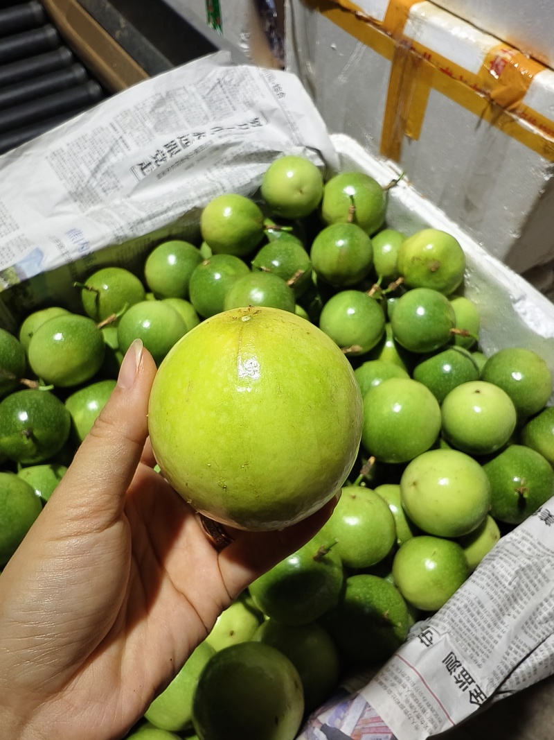 钦蜜9号百香果，电商，市场，各大仓，大量有货，价格实惠