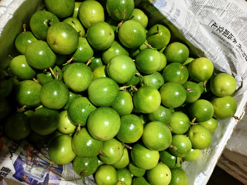 钦蜜9号百香果，电商，市场，各大仓，大量有货，价格实惠